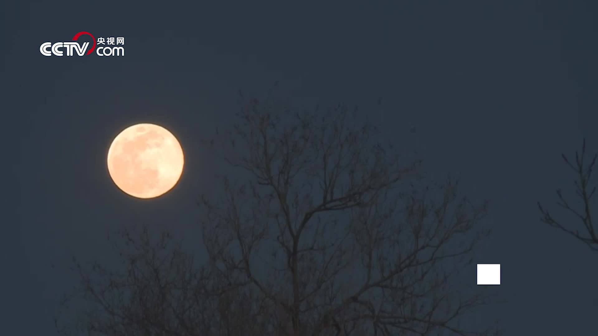 [视频]巧遇春分 今年最后一次超级大月亮登场！