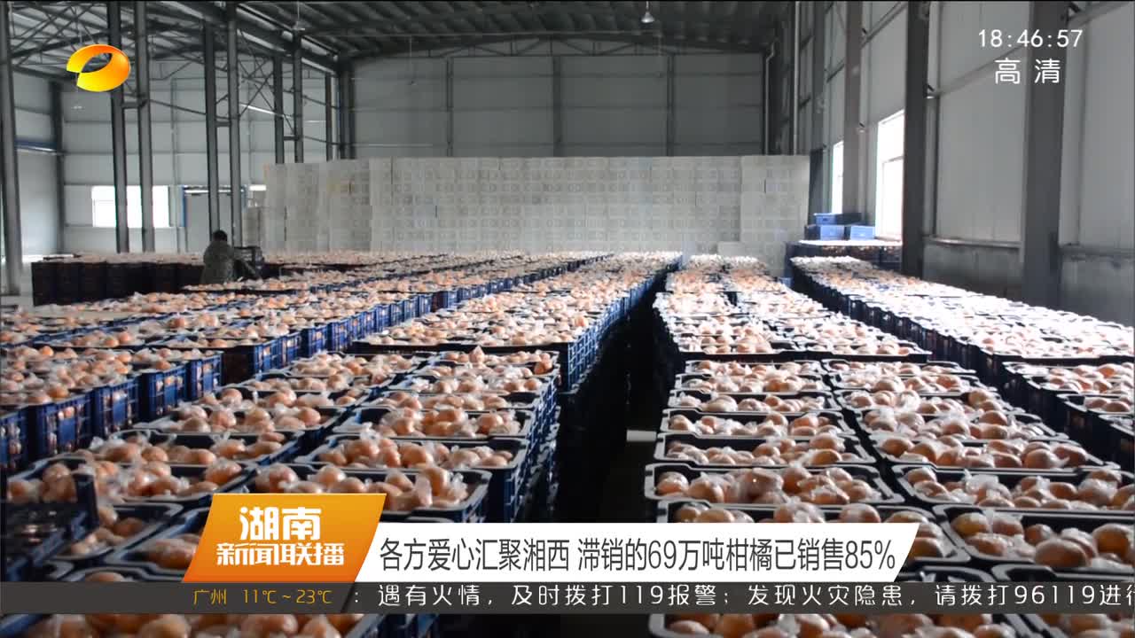 各方爱心汇聚湘西 滞销的69万吨柑橘已销售85%