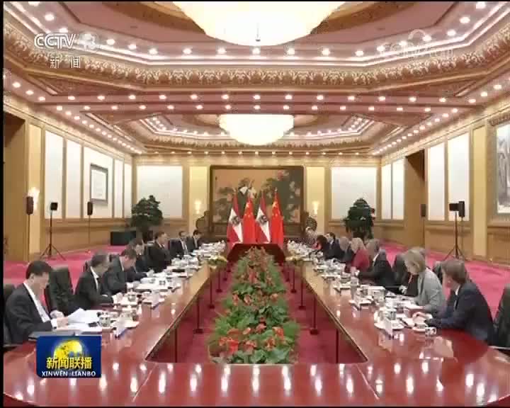 [视频]习近平同奥地利总统举行会谈