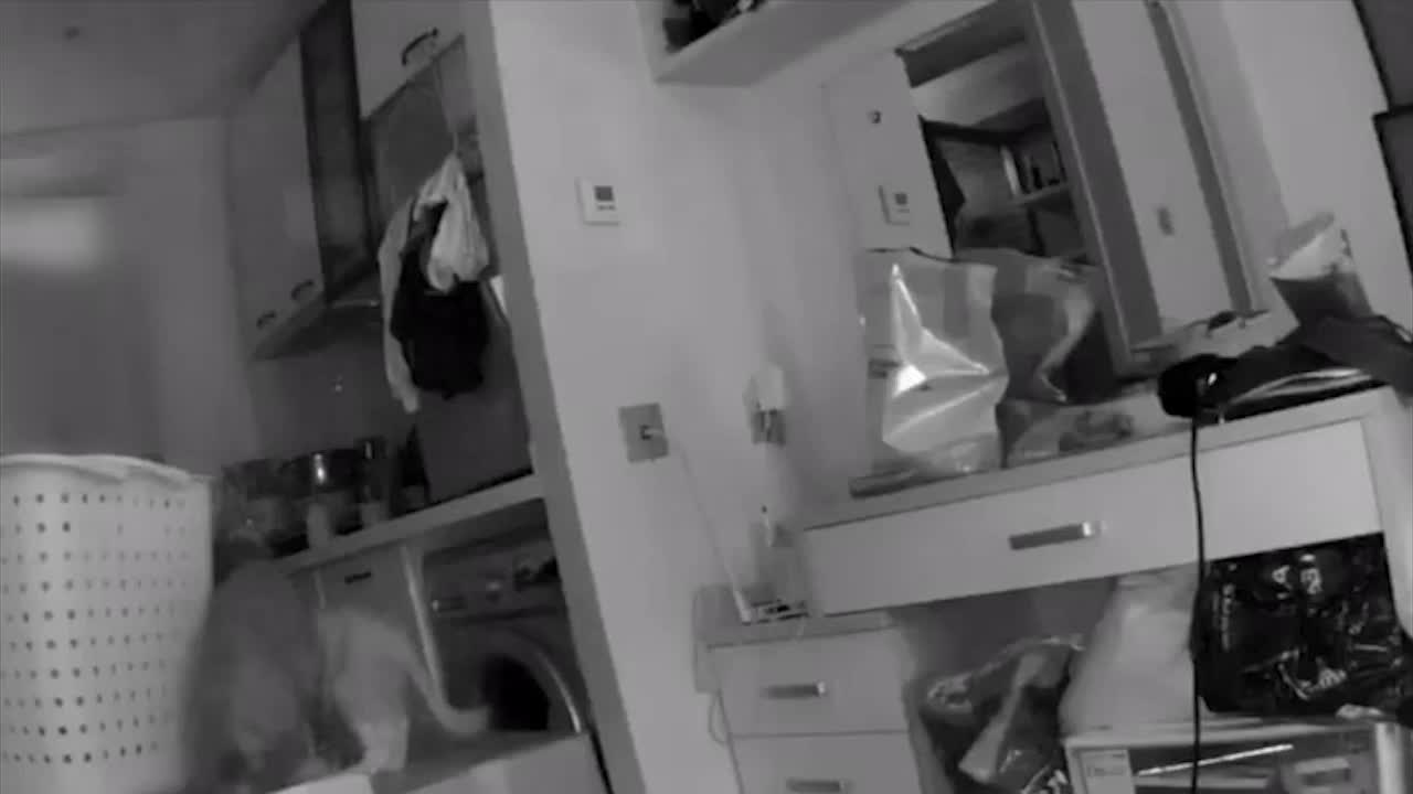 [视频]女子遭遇入室抢劫冷静周旋：你是不是有困难