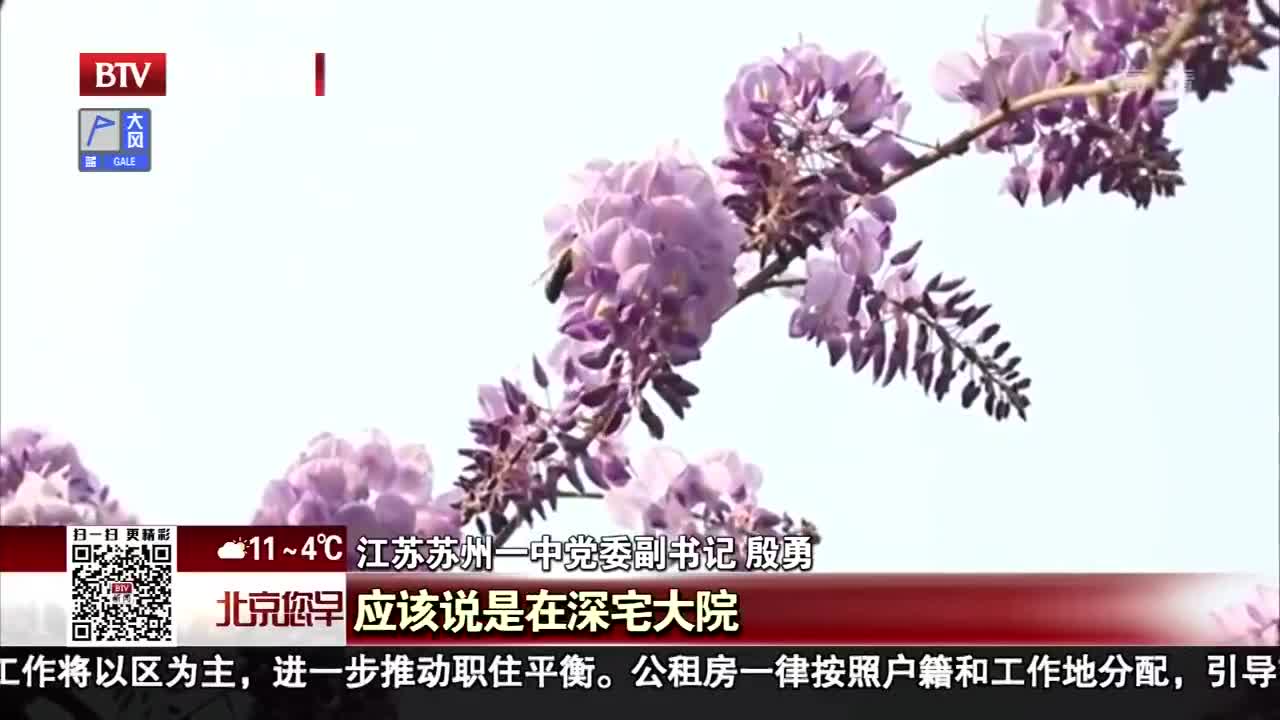 [视频]苏州：千年紫藤花盛放