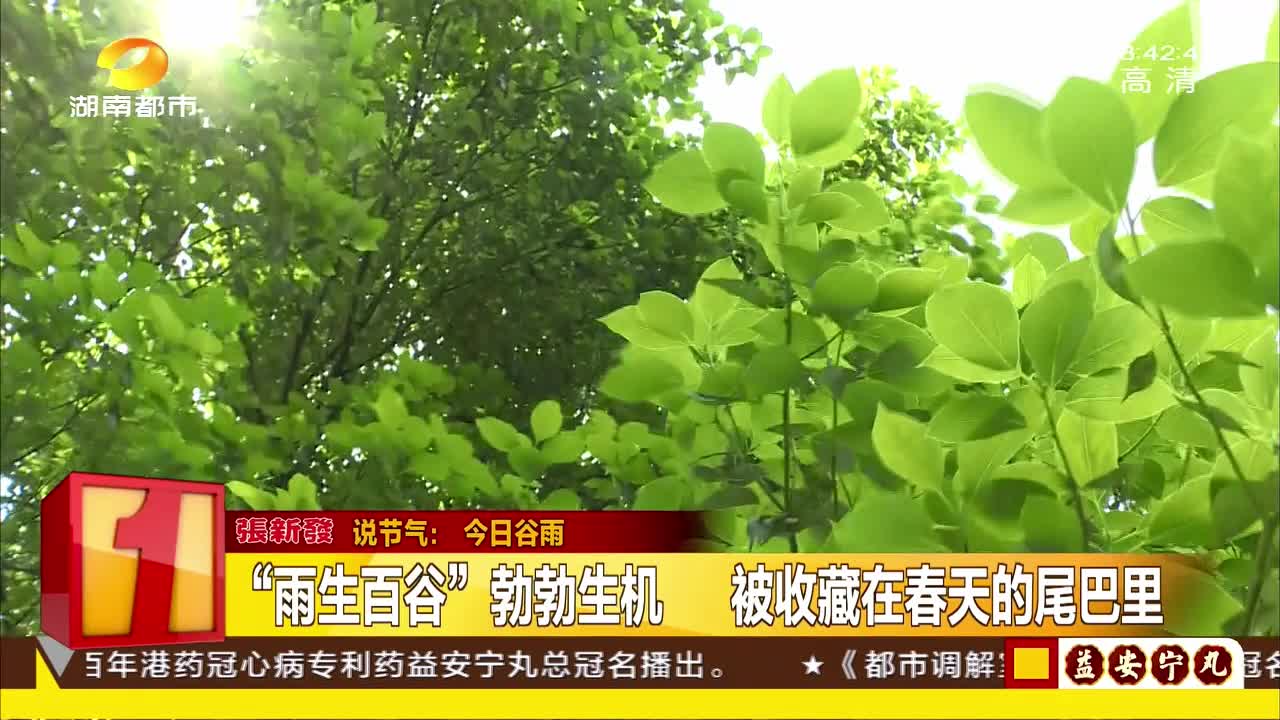 “雨生百谷”勃勃生机 被收藏在春天的尾巴里