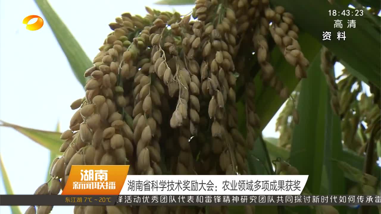 湖南省科学技术奖励大会：农业领域多项成果获奖