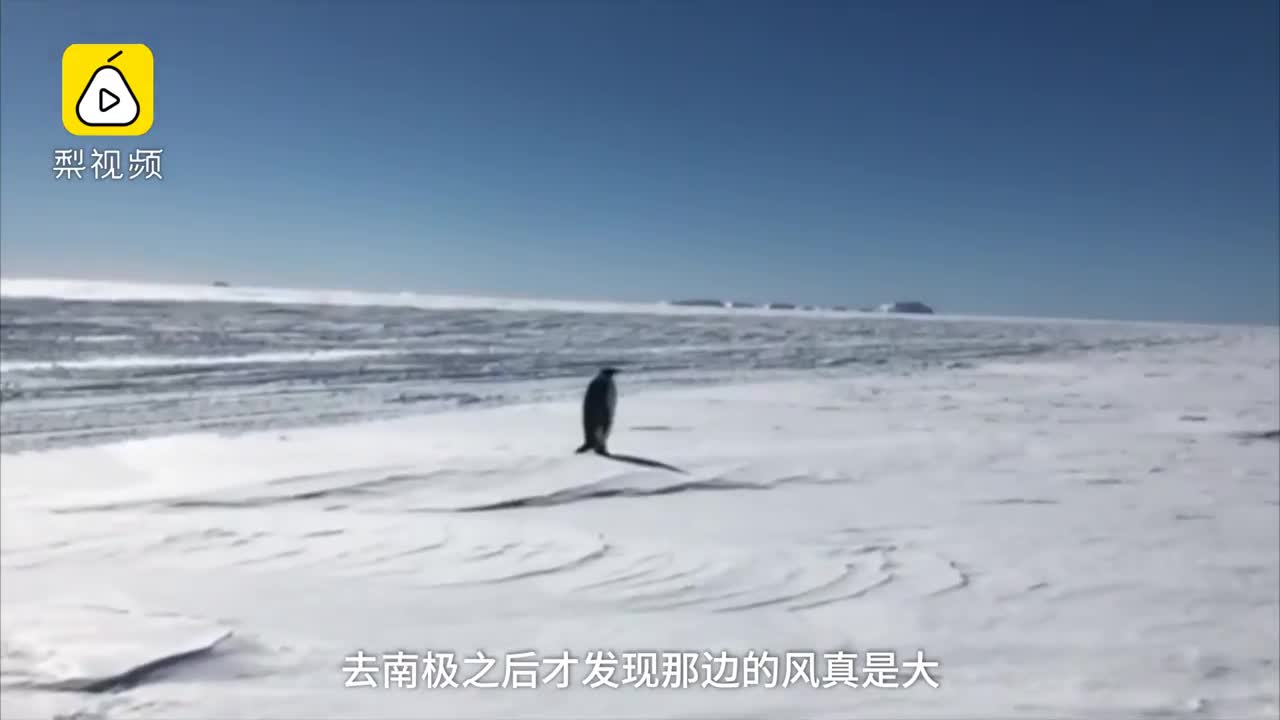 [视频]6师生南极住百天 钻198米冰取岩石