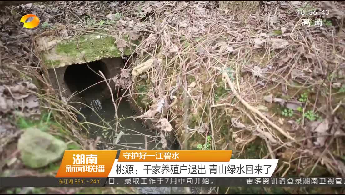 [守护好一江碧水] 桃源：千家养殖户退出 青山绿水回来了