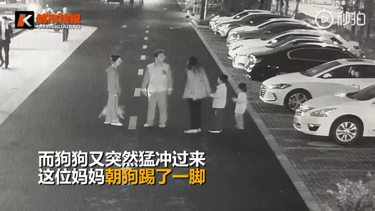 [视频]杭州妈妈为护孩子与不牵狗绳男子起冲突，被按倒在地打至骨折