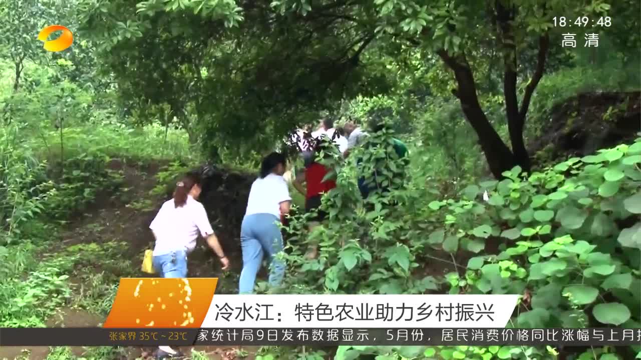 冷水江：特色农业助力乡村振兴