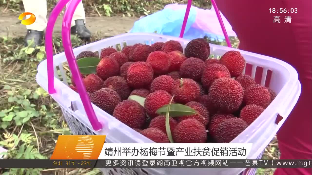 靖州举办杨梅节暨产业扶贫促销活动