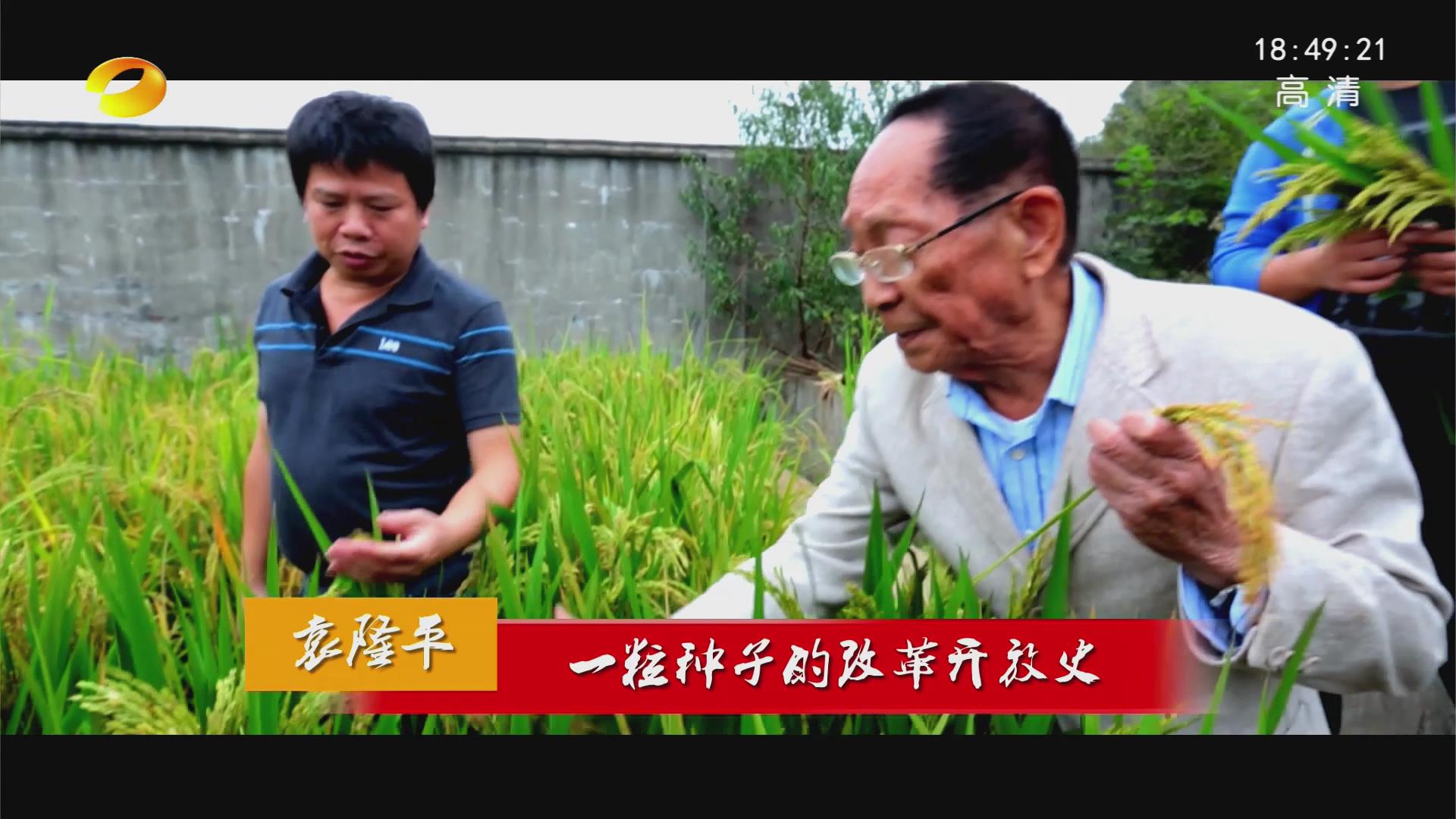 袁隆平：一粒种子的改革开放史