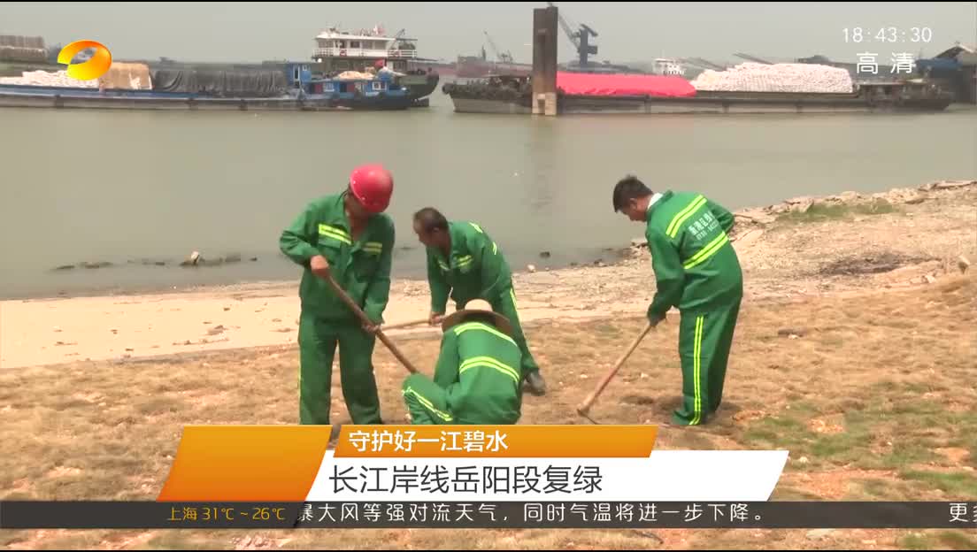 守护好一江碧水 长江岸线岳阳段复绿